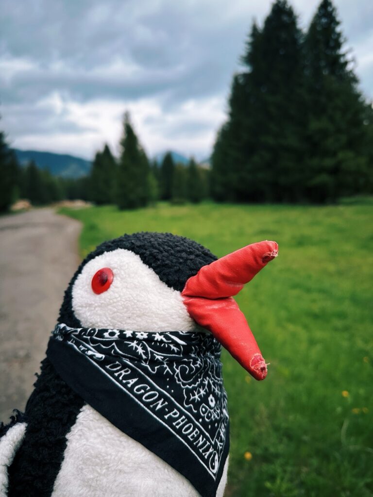 Rackova dolina hike slovakia