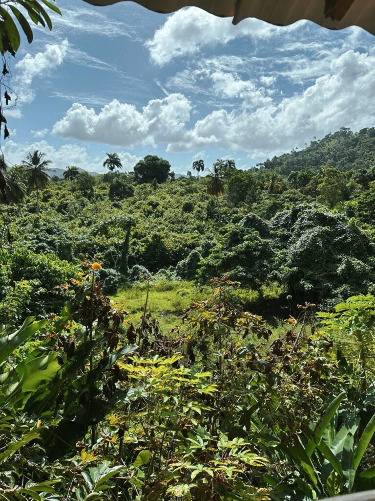 Range Christiano DR