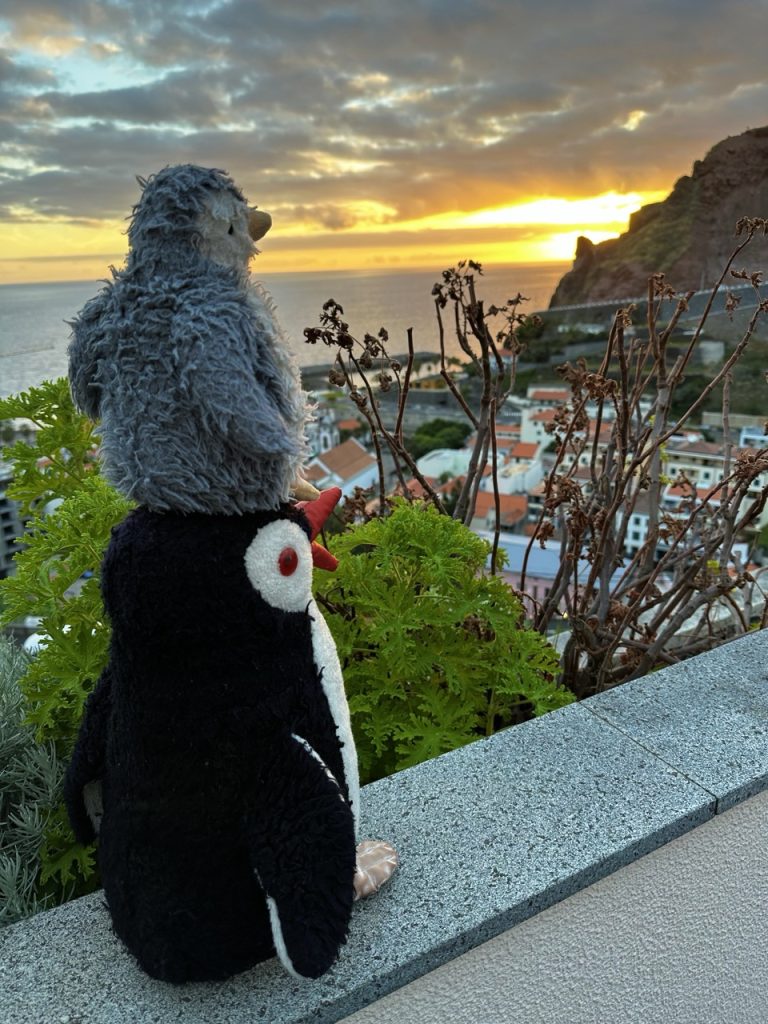 Ribeira Brava