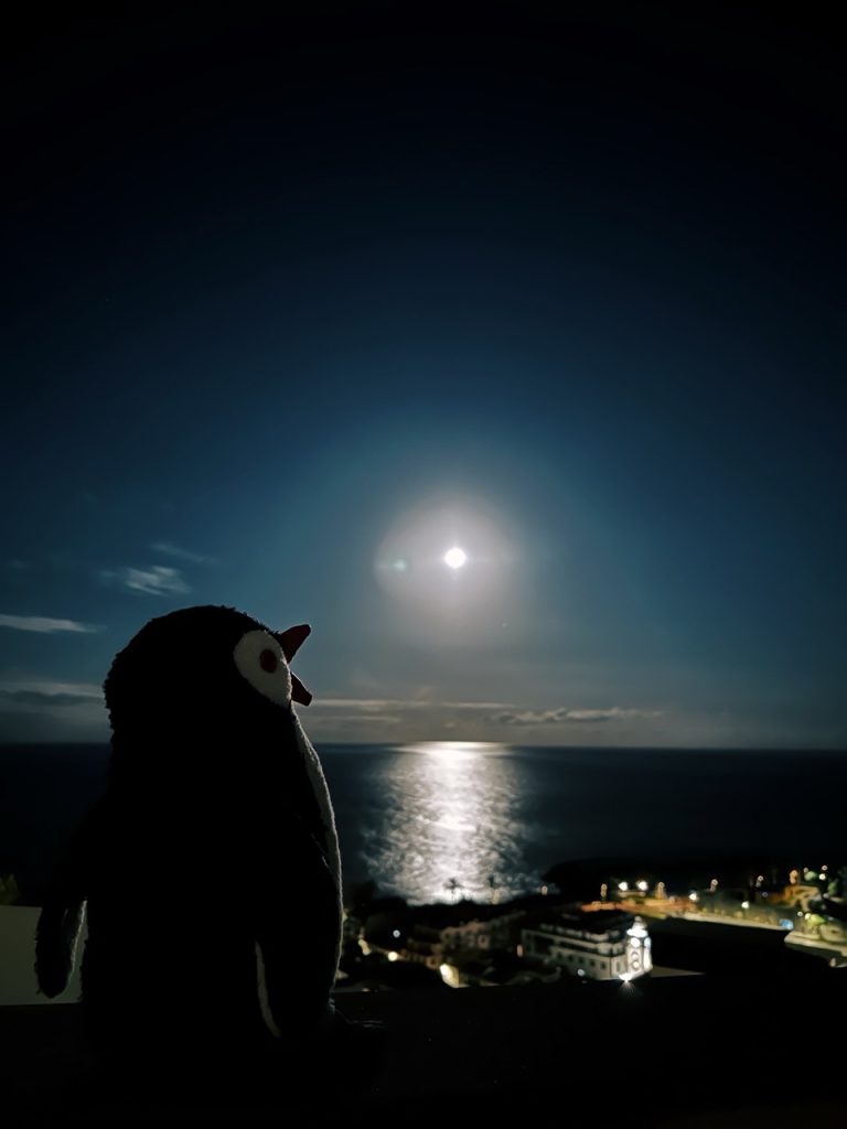 Ribeira Brava