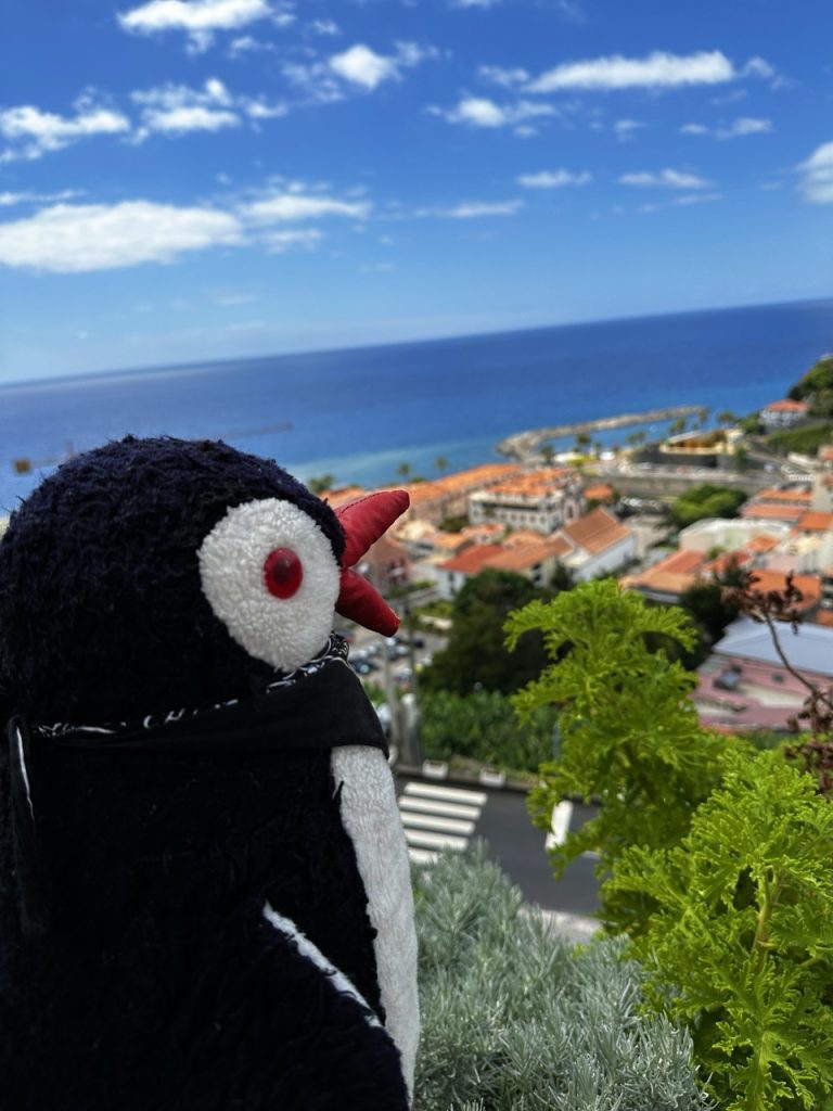 Ribeira Brava