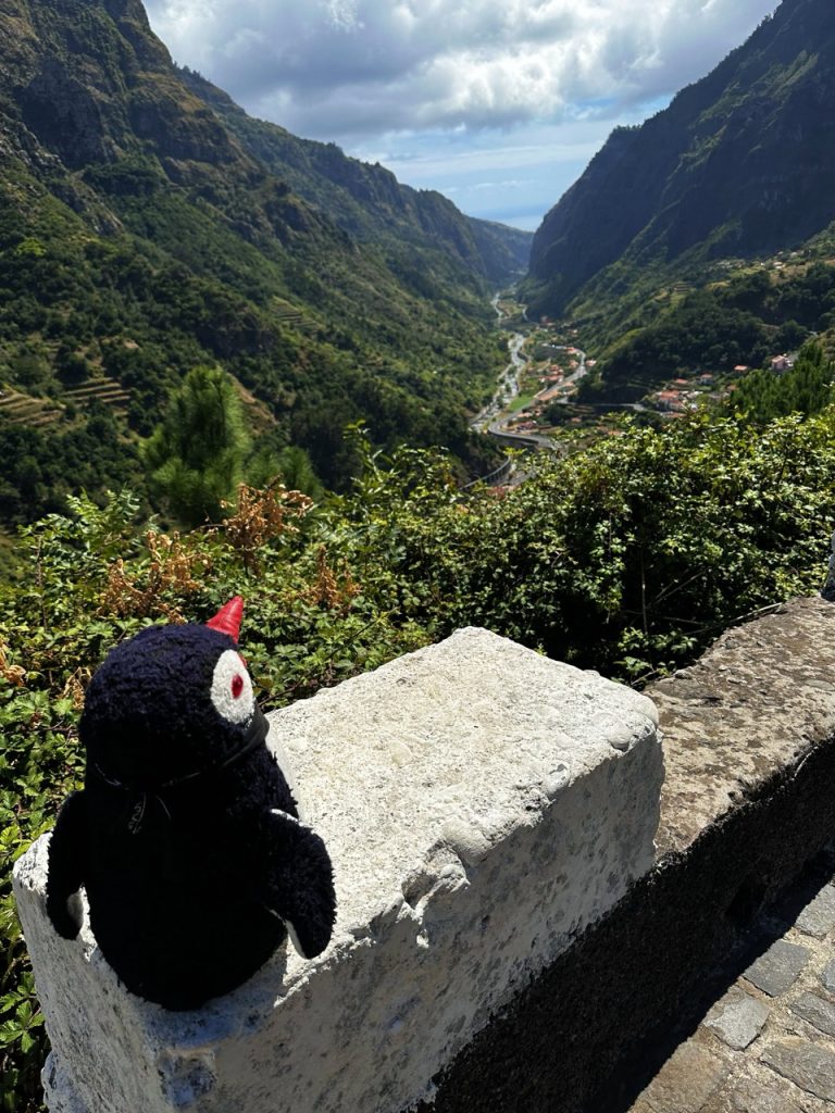 Ribeira Brava