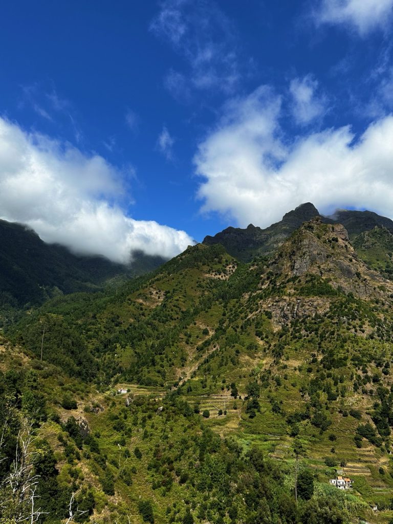 Ribeira Brava
