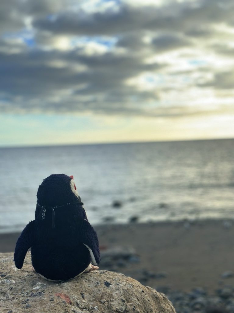 Ribeira Brava