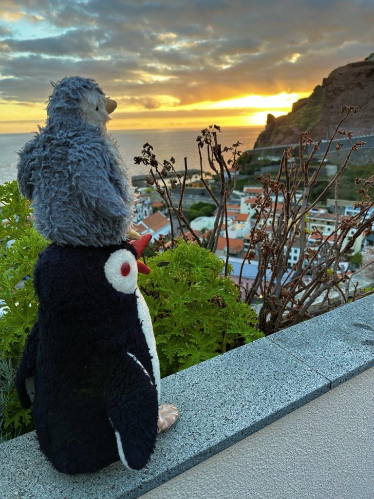 Ribeira brava airbnb