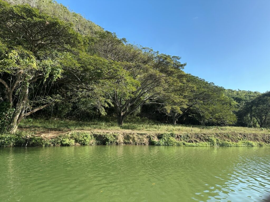Rio chavon Dominican Republic