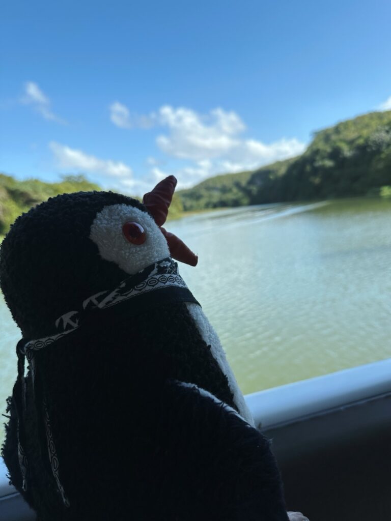 Rio chavon Dominican Republic