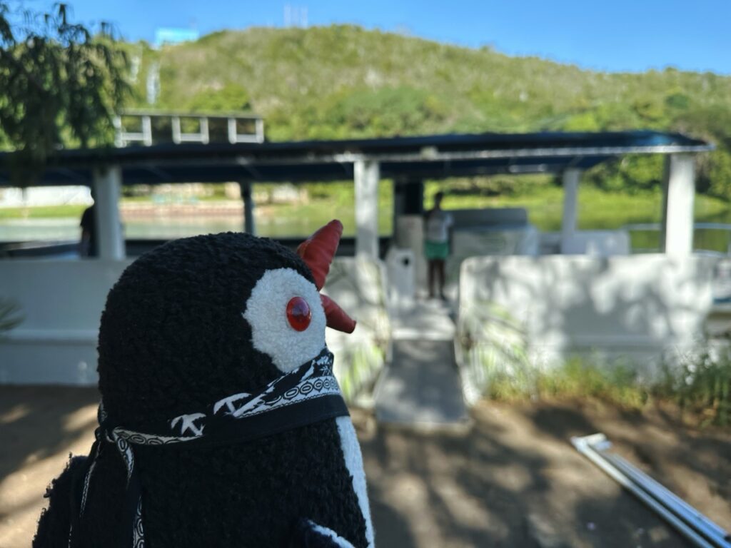 Rio chavon Dominican Republic