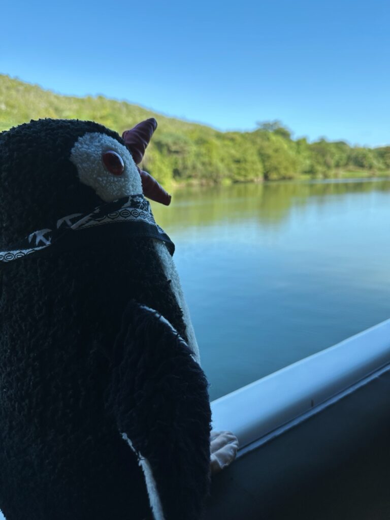 Rio chavon Dominican Republic