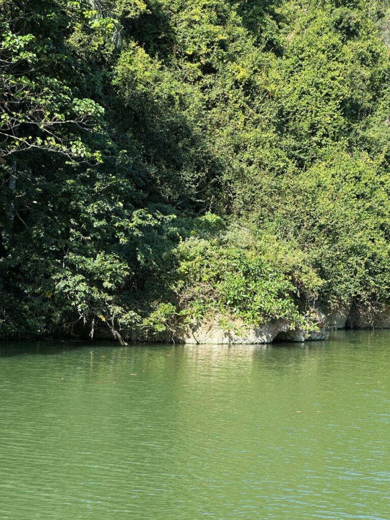 Rio chavon Dominican Republic