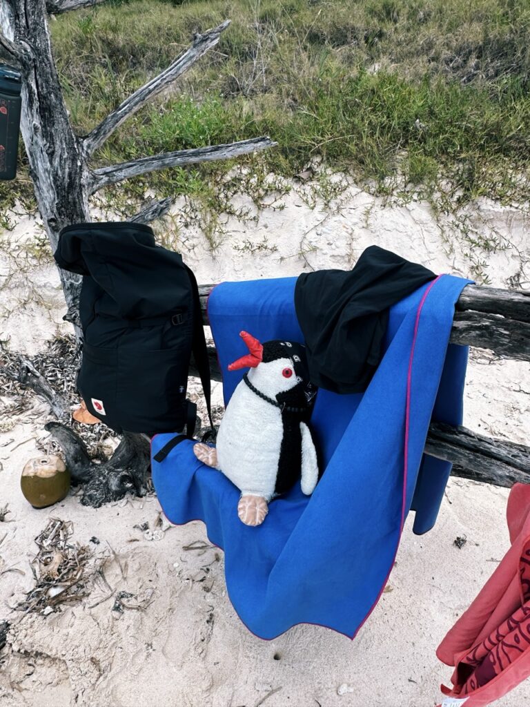 Saona Island DR