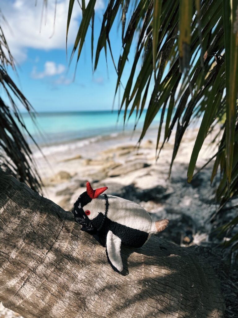 Saona island DR