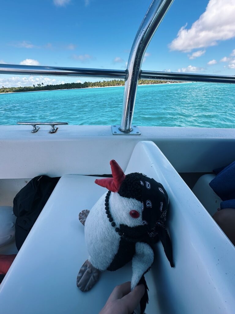 Saona Island DR