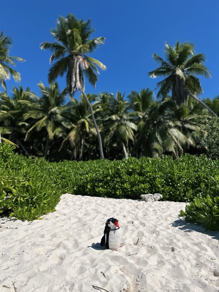 Saona Island DR