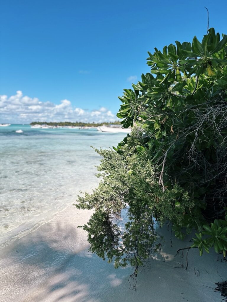 Saona Island DR