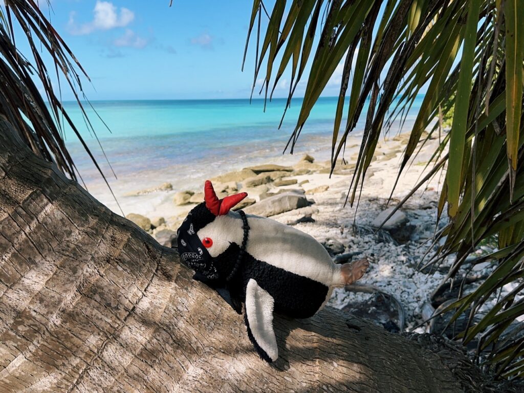Saona Island DR
