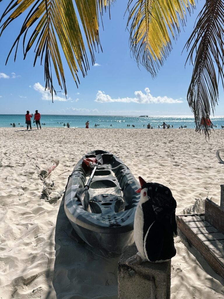 Saona Island DR