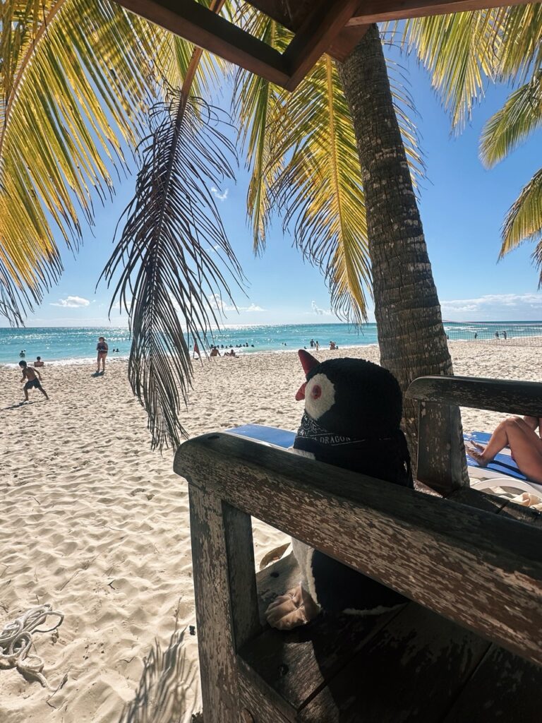 Saona Island DR