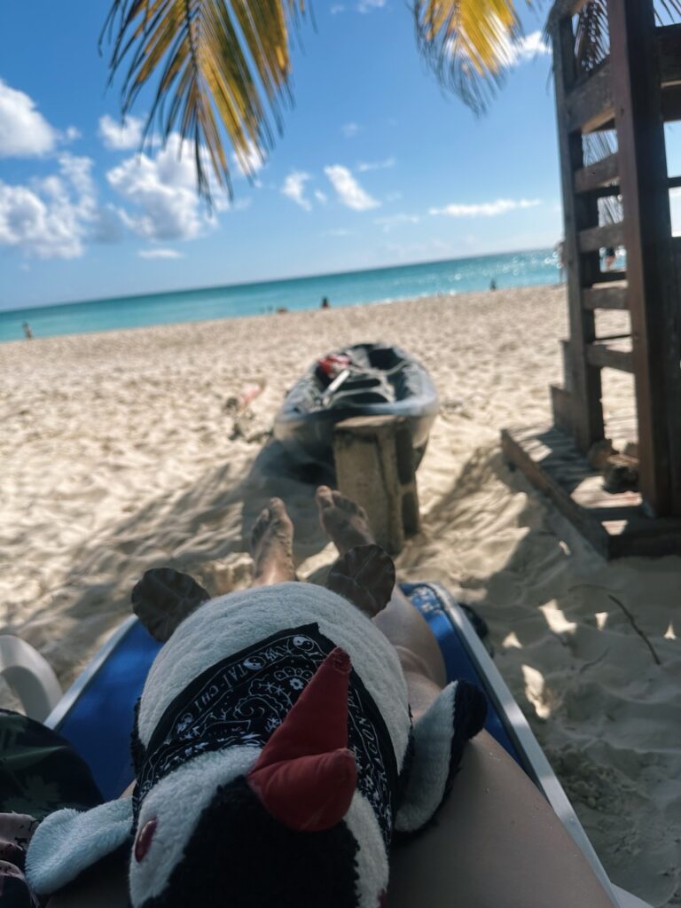 Saona Island DR