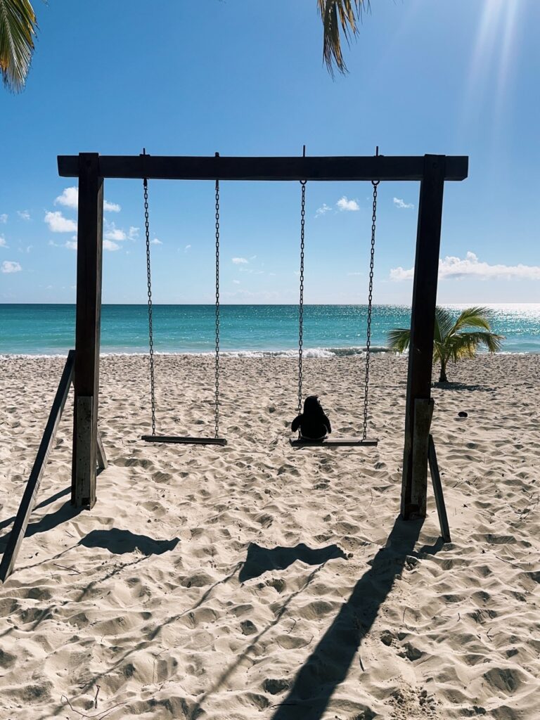 Saona Island DR