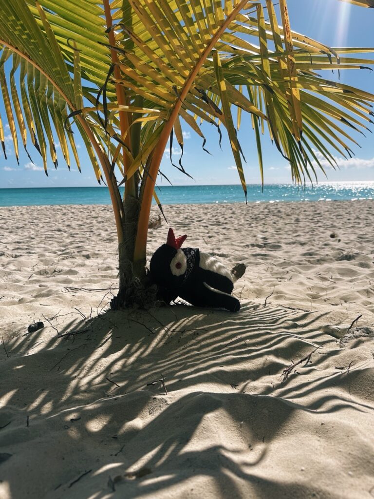 Saona Island DR