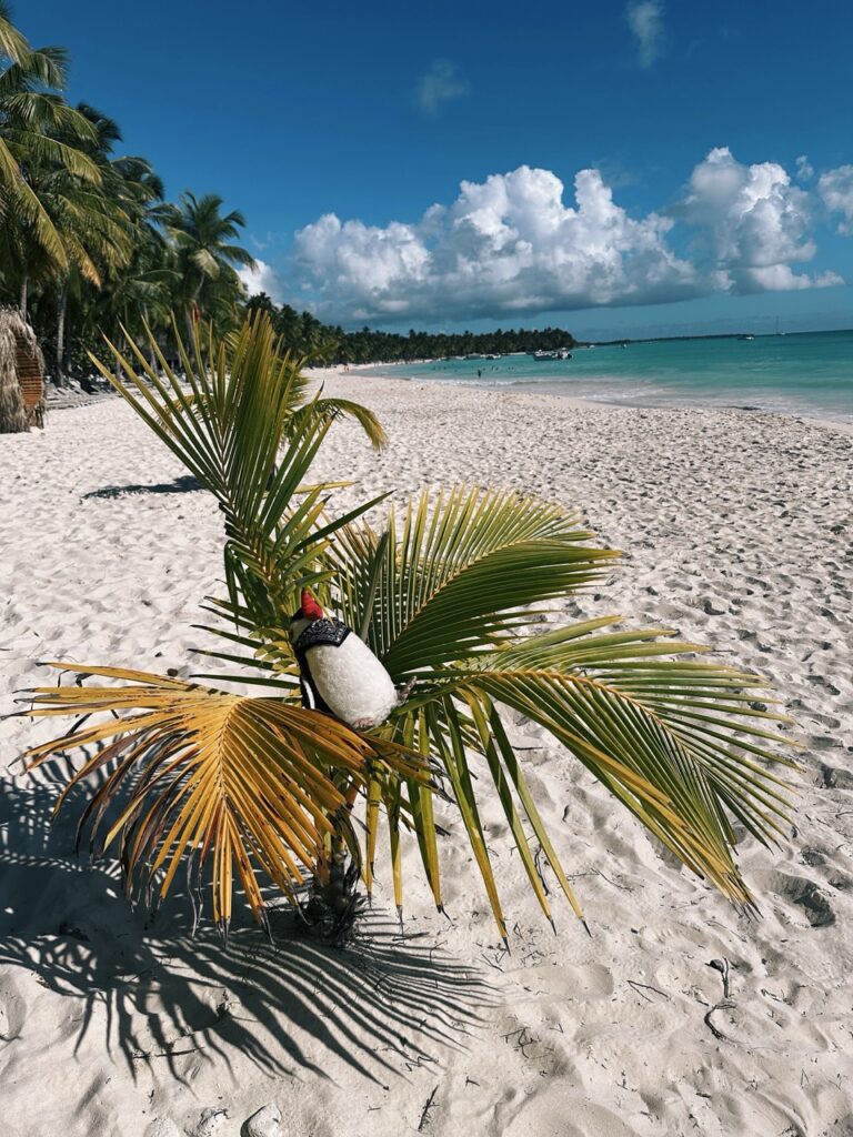 Saona Island DR