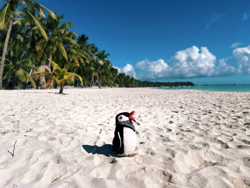 Saona Island DR