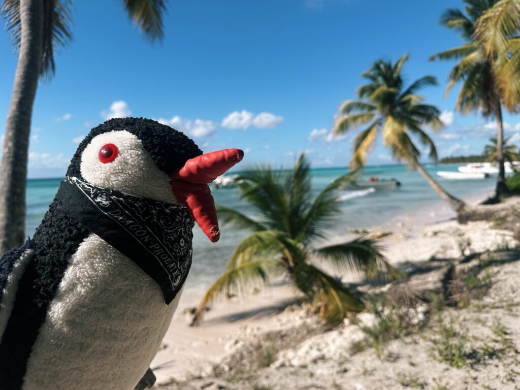 Saona Island DR