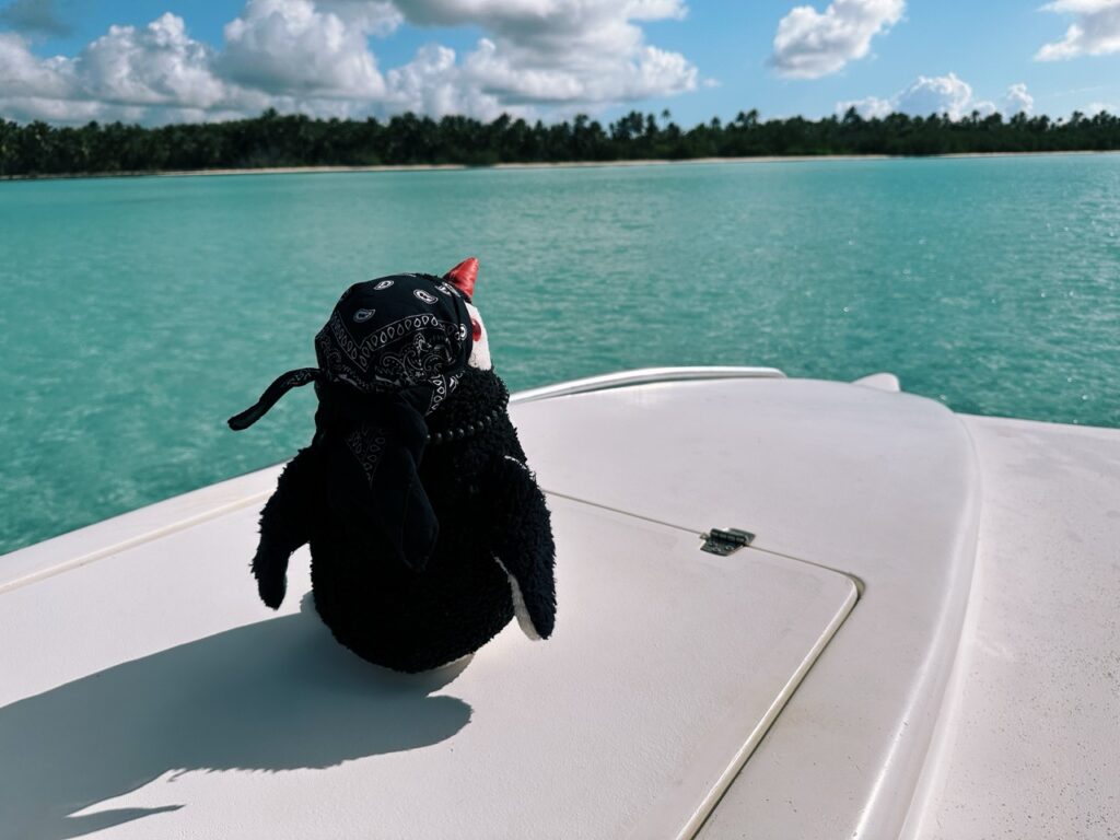 Saona Island DR