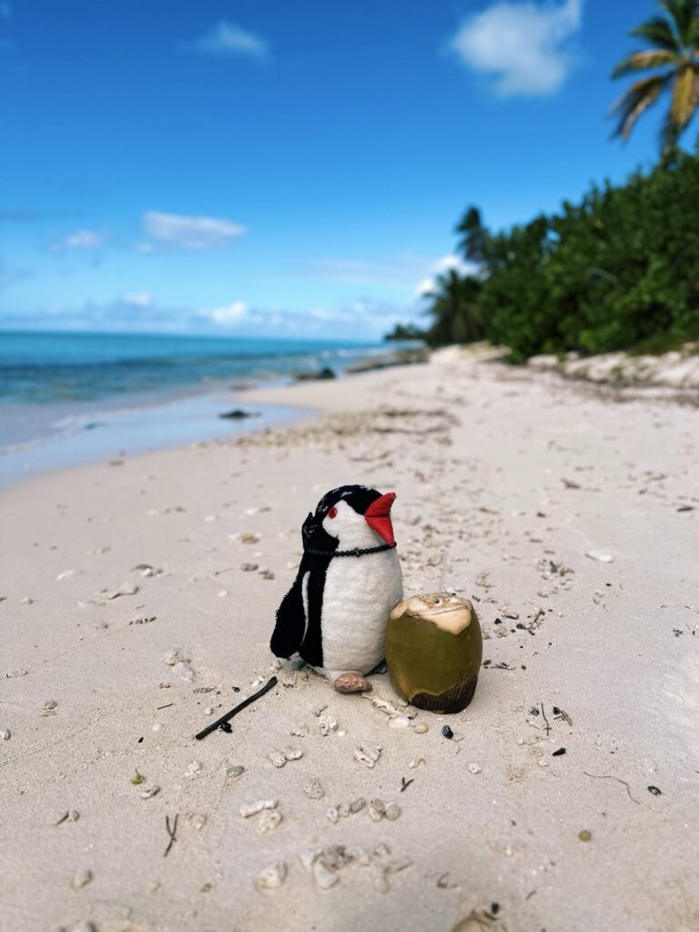 Saona Island DR
