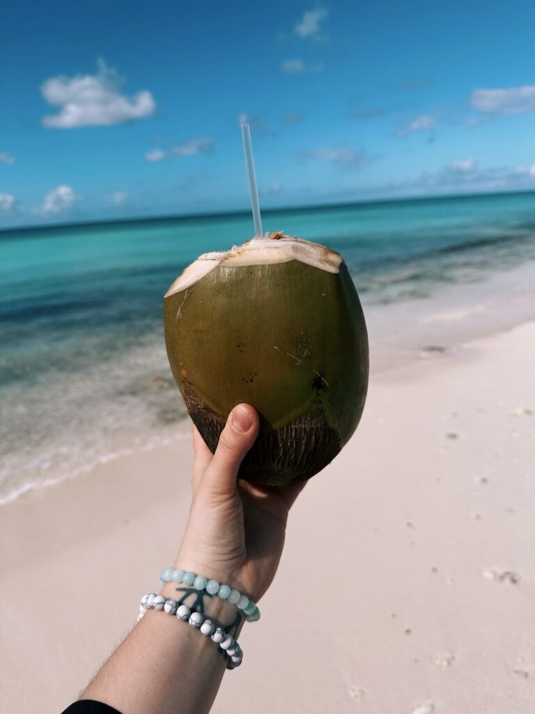 Saona Island DR