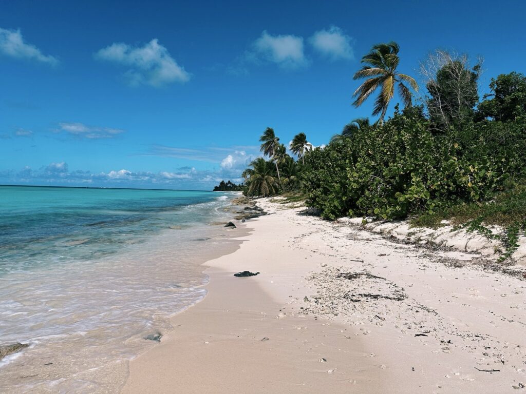 Saona Island DR