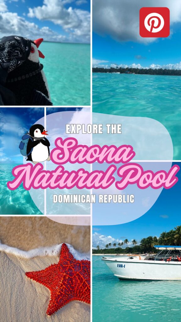 Pinterest pin promoting Saona Natural Pool featuring the penguin mascot Miško and tropical scenes