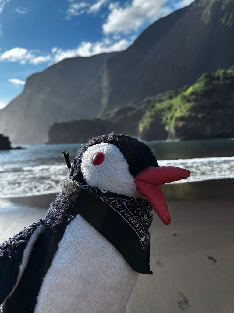Sexial Beach Madeira
