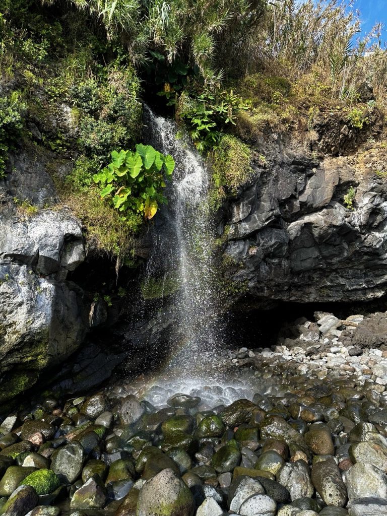 Sexial Beach Madeira
