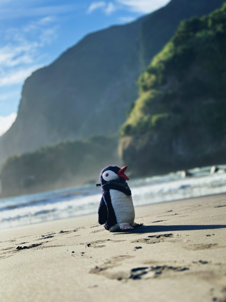 Sexial Beach Madeira