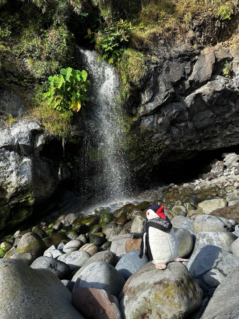 Sexial Beach Madeira