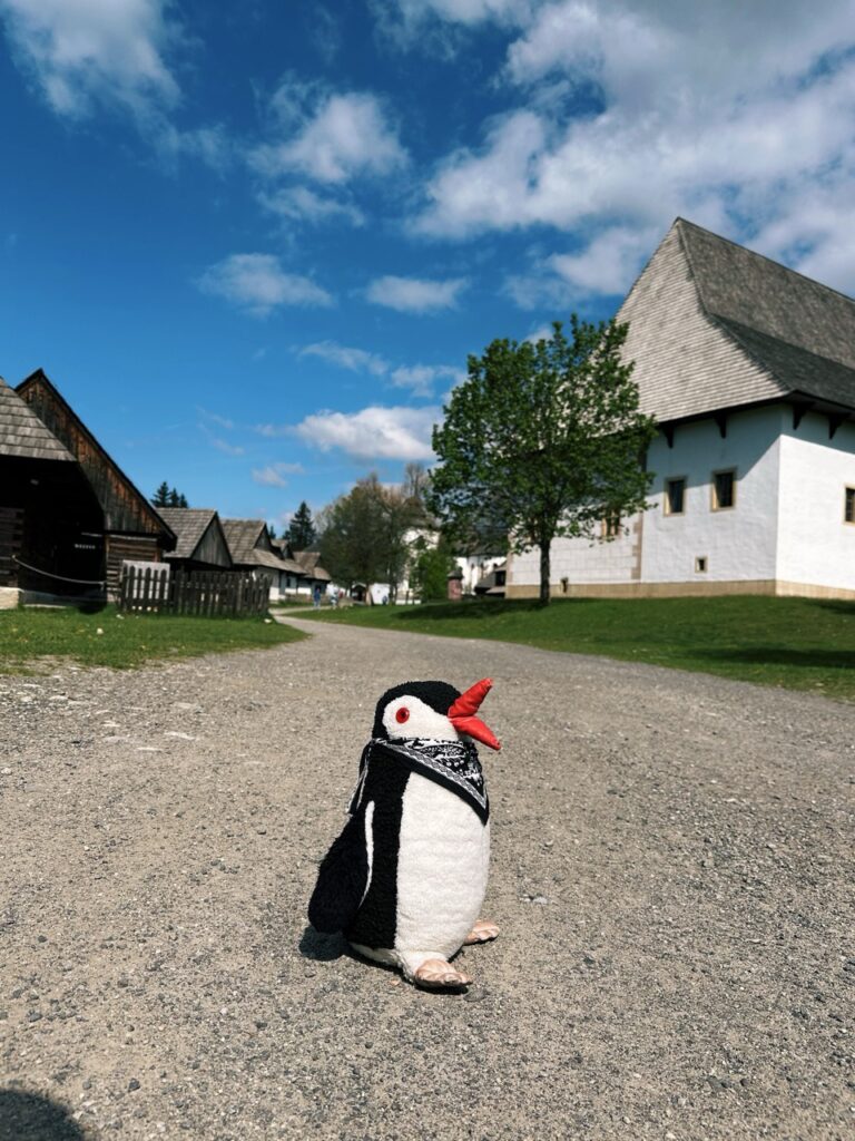 Skamzen pribylia Slovakia