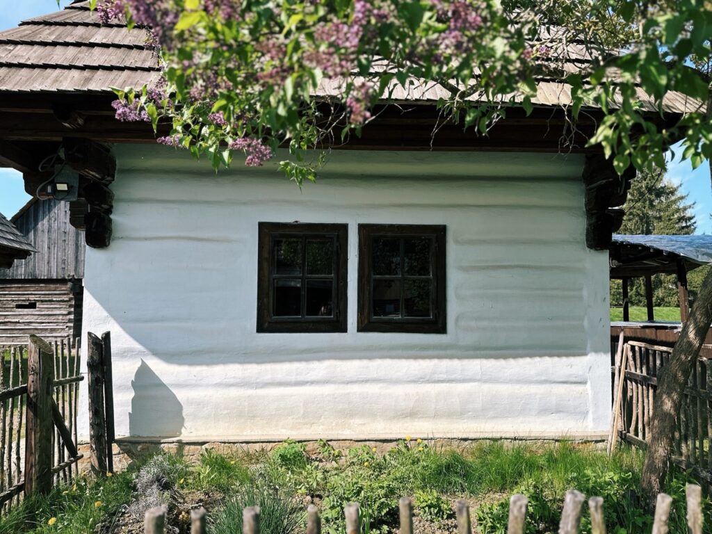Skamzen pribylia Slovakia