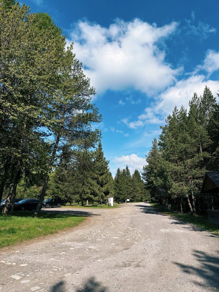 Skamzen pribylia Slovakia