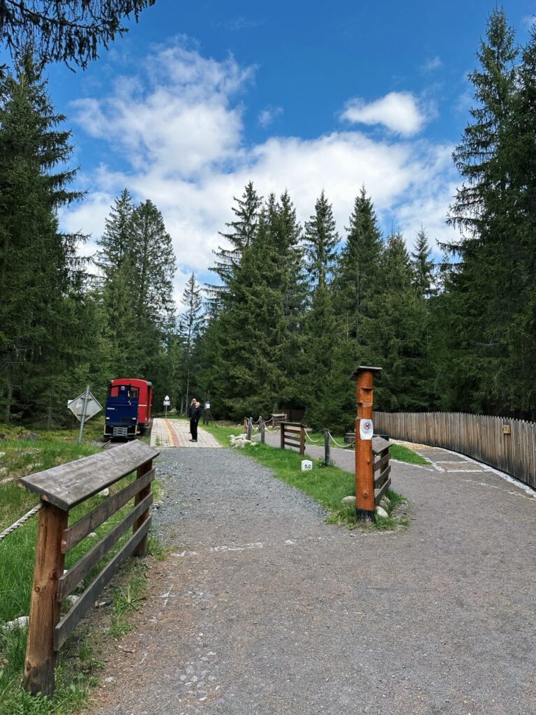 Skamzen pribylia Slovakia