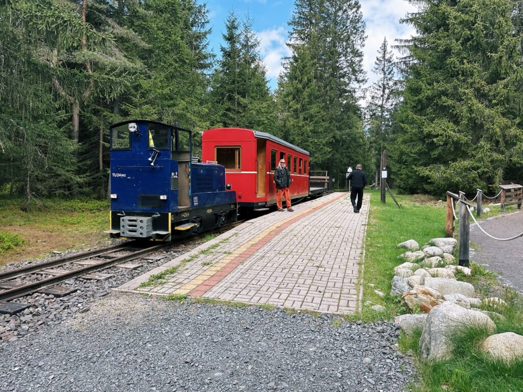 Skamzen pribylia Slovakia