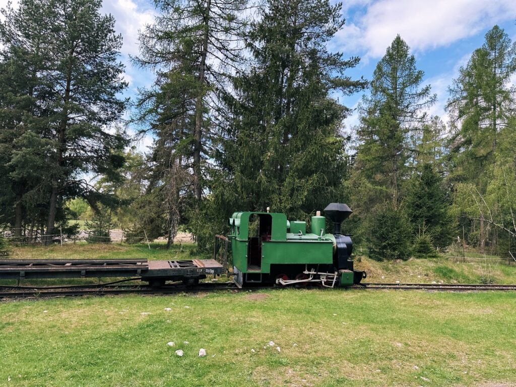 Skamzen pribylia Slovakia