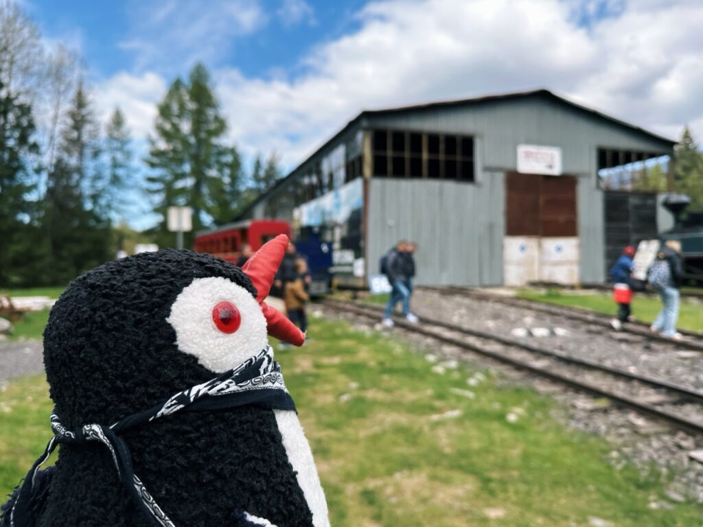 Skamzen pribylia Slovakia