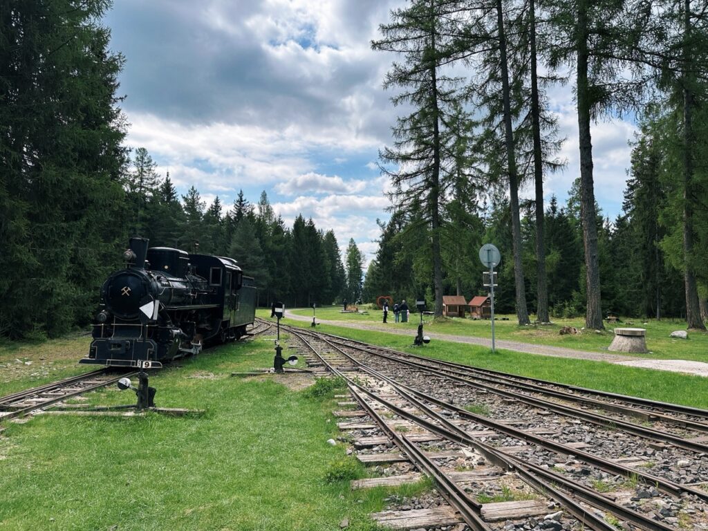 Skamzen pribylia Slovakia