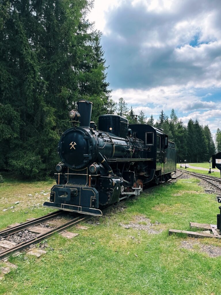 Skamzen pribylia Slovakia