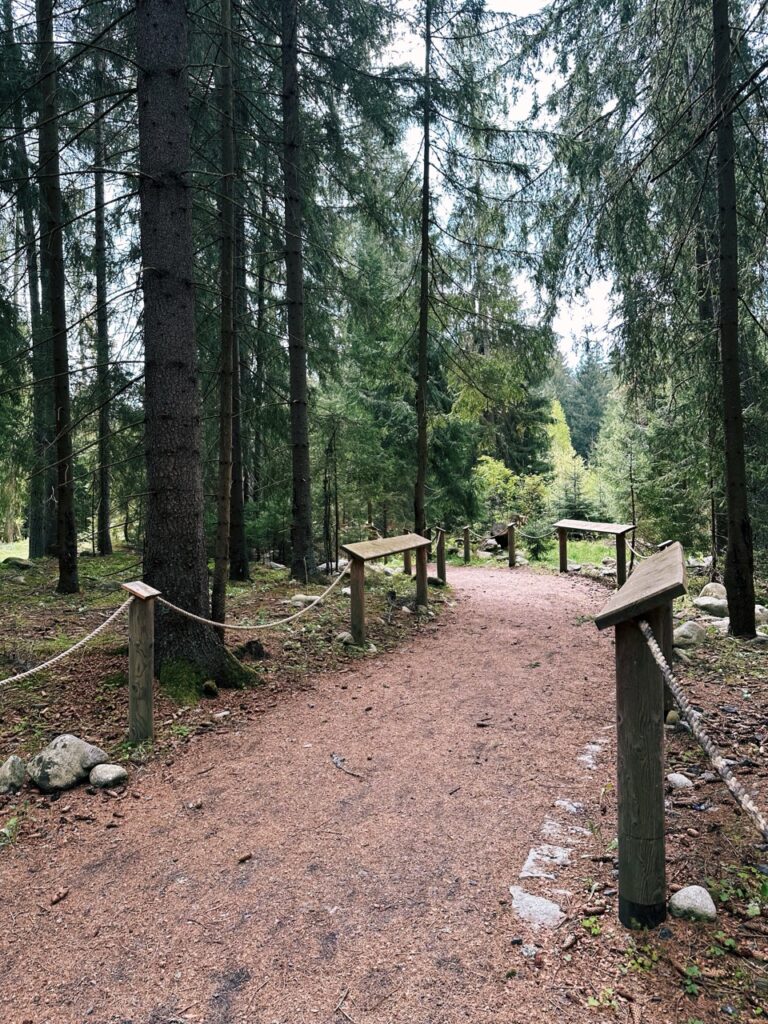 Skamzen pribylia Slovakia
