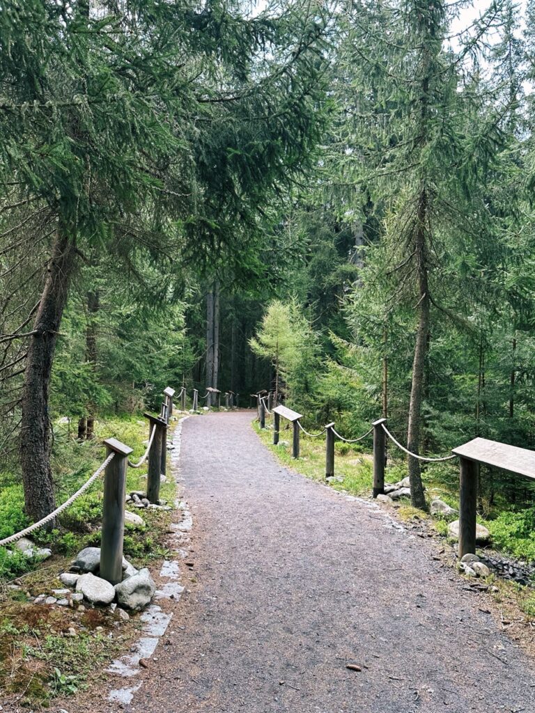 Skamzen pribylia Slovakia