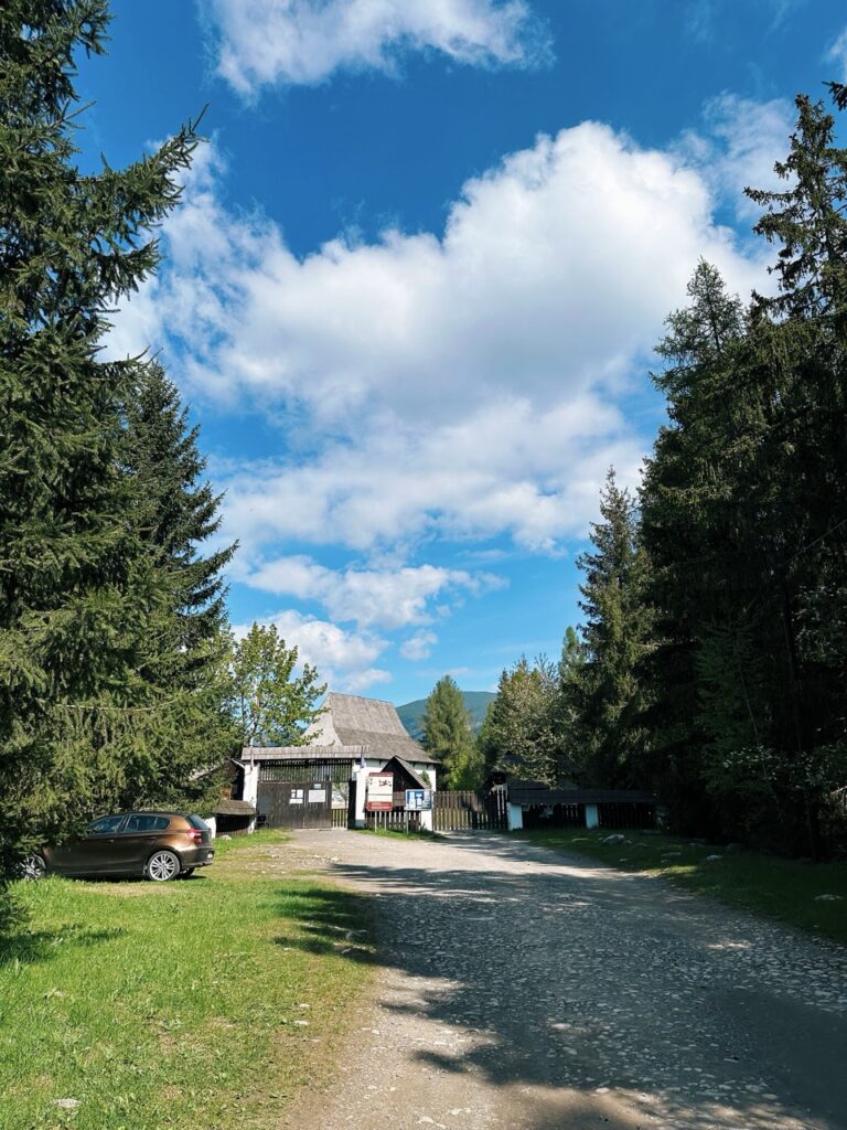 Skamzen pribylia Slovakia