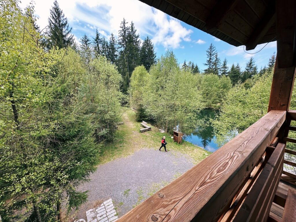 Skamzen pribylia Slovakia